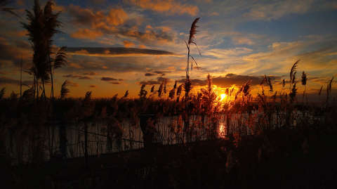A felkelő Nap Balatonalmádiban.