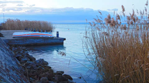 Csendélet, tél, Balatonalmádi