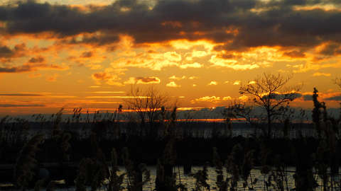 Aranyló napfelkelte - Balatonalmádi