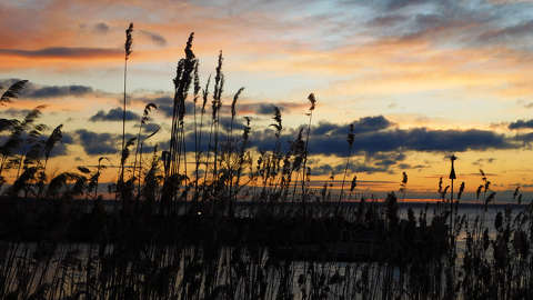 Balaton, Almádi, Napkelte