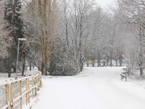 Balatonfűzfő, út, tél, hó