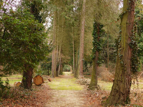 Kámoni Arborétumban - Szombathely