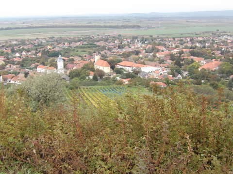 Tarcal,Magyarország