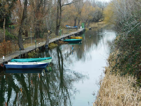 Balatonfűzfő, kikötő