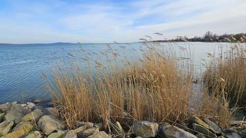 balaton magyarország nád tó