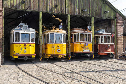 Nosztalgia flotta