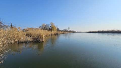 Holt Tisza