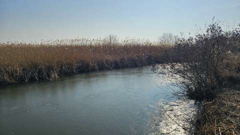 Holt Tisza befolyó