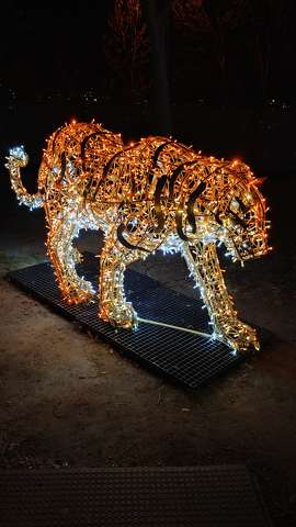 Lumina Park, Budapest, Margitsziget, fények, tigris