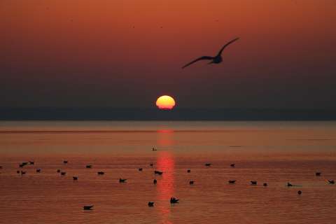 Pillanat műve, Balatonalmádi.