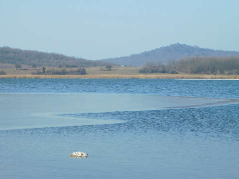 Tihany, Belső-tó