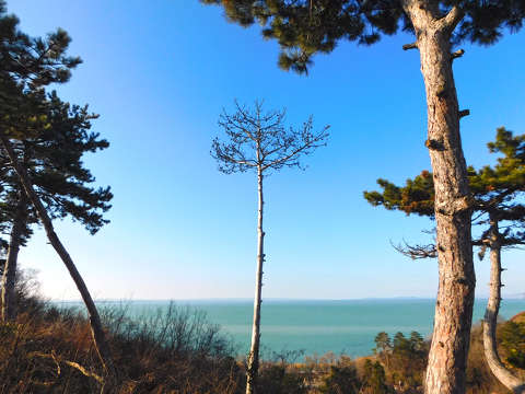 Balatonakarattya