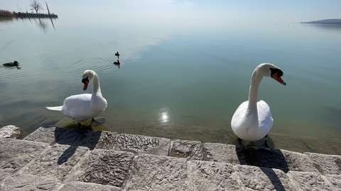 Balatonalmádi