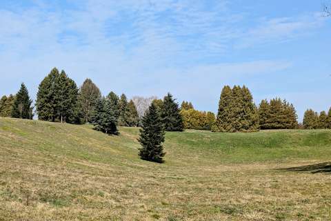 Deseda arborétum