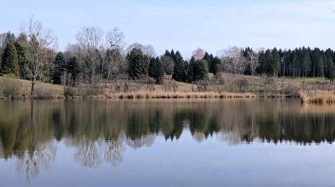 Deseda arborétum