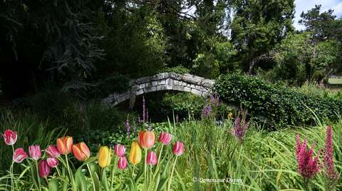 Pont du Parc Floral d\'Olivet - Loiret - France 
