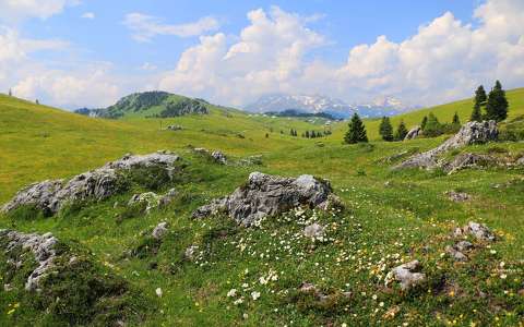 Velika Planina, Szlovénia
