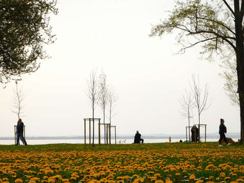 Balatonkenese