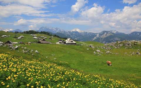 Velika Planina, Szlovénia