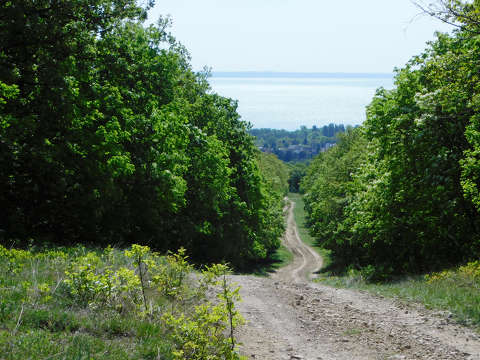 Balaton, Balatonfűzfő