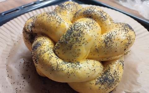 Tejmentes barhesz