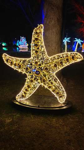 Lumina Park, Budapest, Margitsziget, fények, tengeri csillag