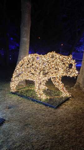 Lumina Park, Budapest, Margitsziget, fények, medve
