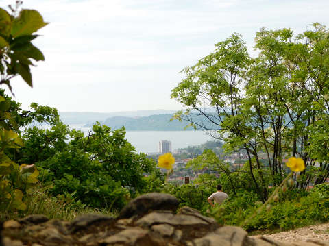 Balatonfüred, Tamás-hegyi kilátópont, Balaton, Tihanyi-félsziget