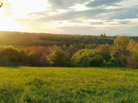 Zalai táj