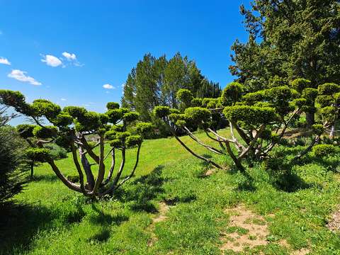 Folly Arborétum.
