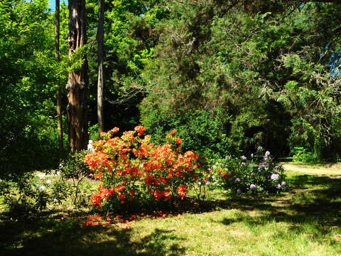Szombathely, Kámoni arborétum