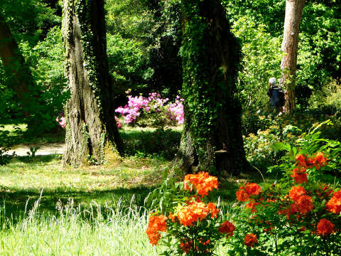 Szombathely, Kámoni arborétum