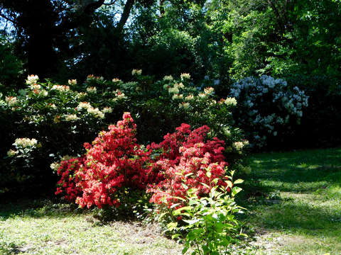 Szombathely, Kámoni arborétum