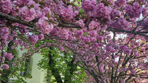 Tóth Árpád sétány Budapest