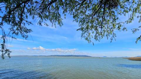 Balaton
