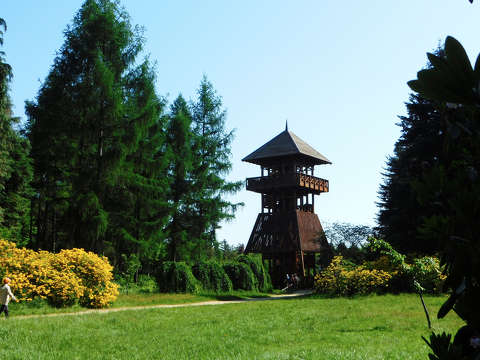 Jeli Varázskert - Kám, arborétum, kilátó