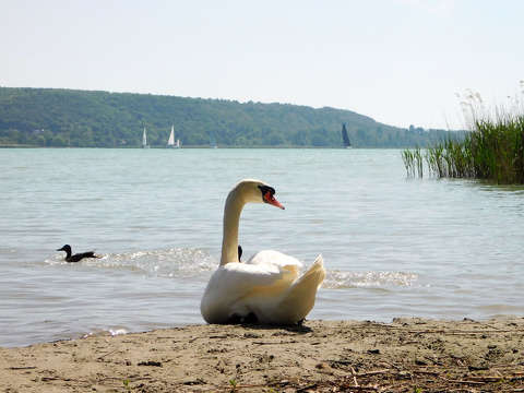Balatonfűzfő strand