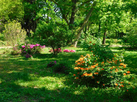 Szombathely, Kámoni arborétum