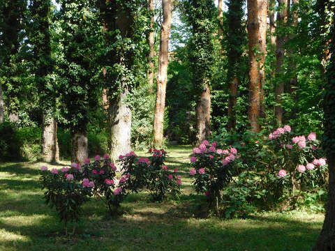 Szombathely, Kámoni arborétum