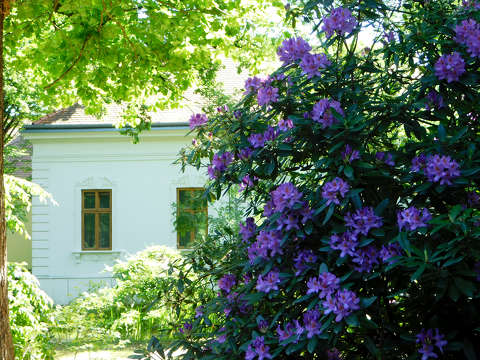 Szombathely, Kámoni arborétum