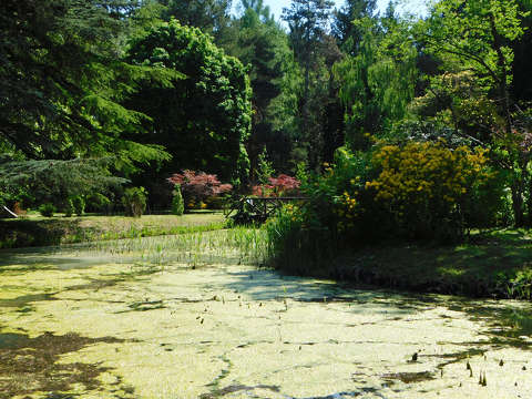 Szombathely, Kámoni arborétum