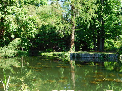 Szombathely, Kámoni arborétum