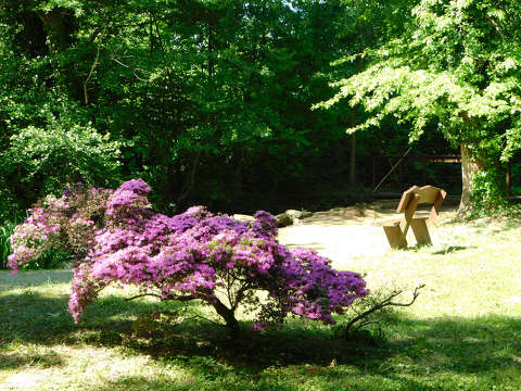 Szombathely, Kámoni arborétum