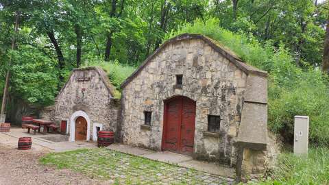 Páty, pincesor, borospince