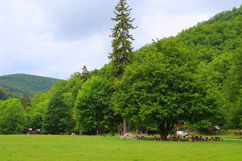 Szilvásvárad, rét, tavasz