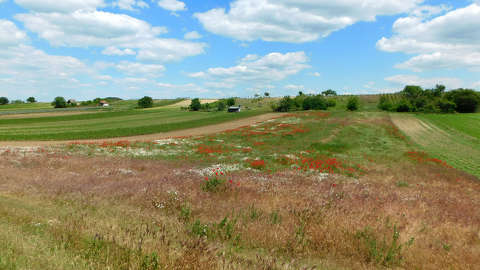 Színes Nagydorog