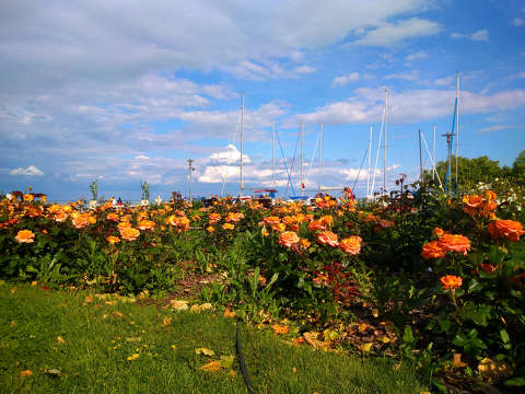 Balatonfüred