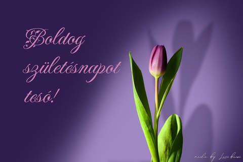 születésnap, grafika
