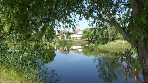 Taksony
