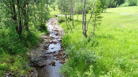 alpok patak